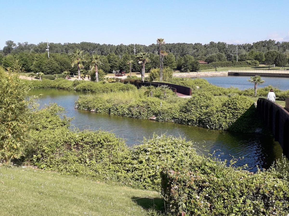 Centrico Y Con Encanto En Tierra De Vinos Logrono Bagian luar foto